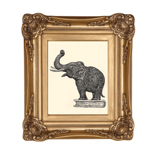 Load image into Gallery viewer, Gold Ornate Antique Picture Frame - Modern Memory Design Picture frames - New Jersey Frame shop custom framing