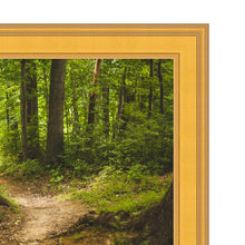 Load image into Gallery viewer, 40 Inch TV Picture Frame - Decorative Custom frame for 40 inch TV  Modern Memory Design 