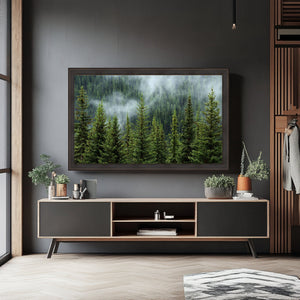 43 Inch TV Picture Frame - Decorative Custom frame for 43 inch TV  Modern Memory Design 