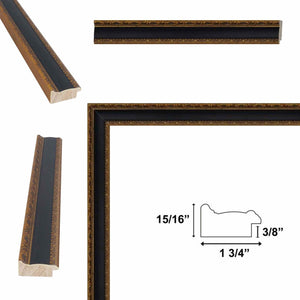 Antique Gold Black Leather Picture Frame