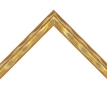 Load image into Gallery viewer, Metallic Ornamental ribbon pattern Transitional Modern Contemporary Picture frame 