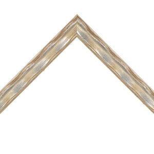 Metallic Ornamental ribbon pattern Transitional Modern Contemporary Picture frame 