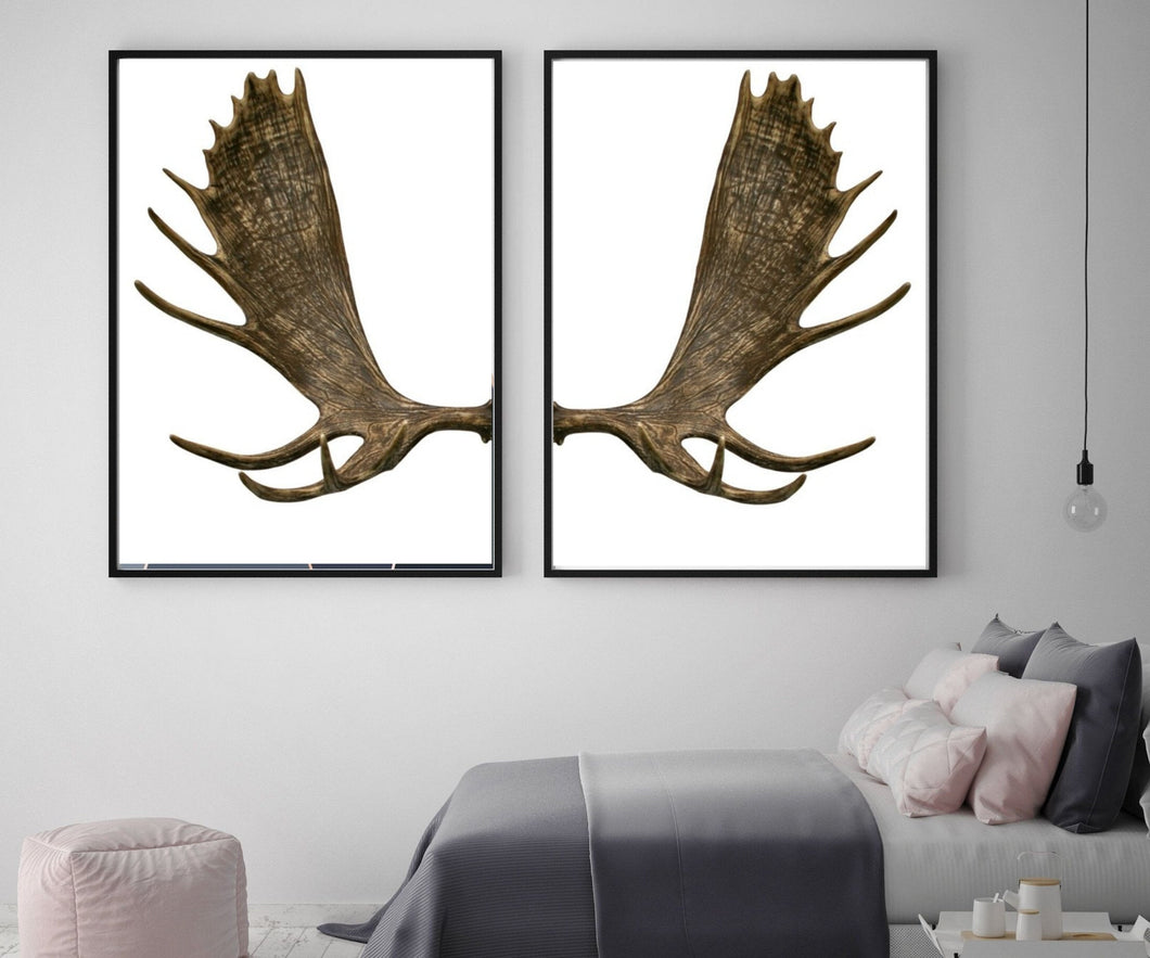 Moose Antlers Home Wall Art set of 2  Canvas Art print, Framed art print or poster