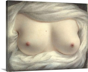 beauty revealed 1828 by sarah goodridge beauty revealed sarah goodridge canvas print classic art wall art print