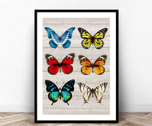 Load image into Gallery viewer, Butterfly, Butterfly wall art print, Wall art, framed art, home decor, art