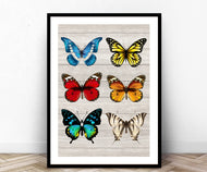 Butterfly, Butterfly wall art print, Wall art, framed art, home decor, art