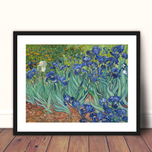 Load image into Gallery viewer, Irises by Vincent Van Gogh Van gogh Garden print Flowers Vincent Van Gogh Canvas print Giclee Print botanical
