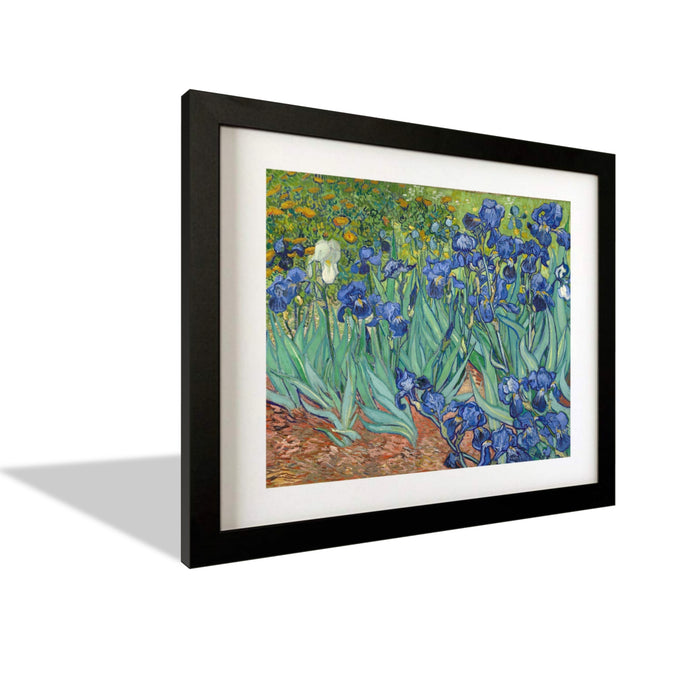 Irises by Vincent Van Gogh Van gogh Garden print Flowers Vincent Van Gogh Canvas print Giclee Print botanical