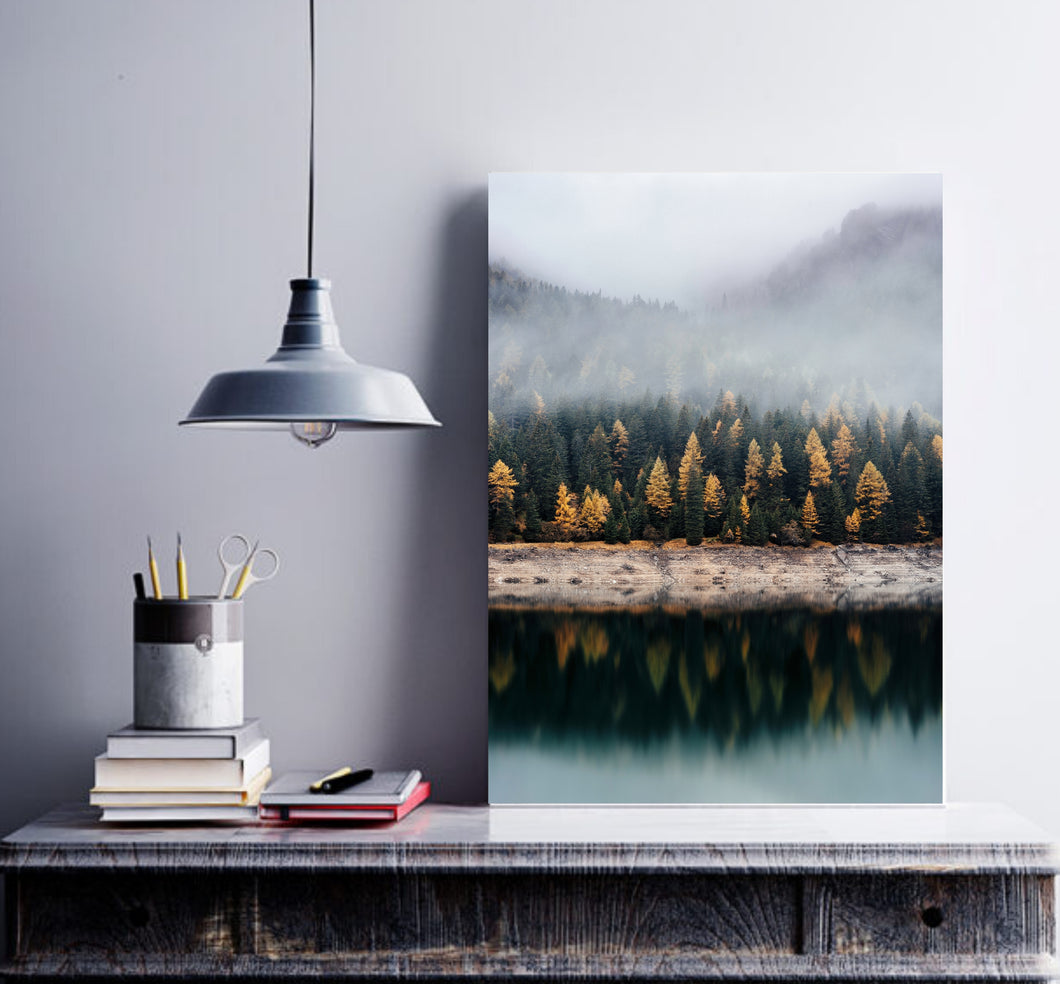 Forest Print Canvas Print Nature Prints Forest Photography Forest Wall Art Woodland Prints Forest Nursery Decor Wilderness Poster