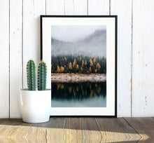 Load image into Gallery viewer, Forest Print Canvas Print Nature Prints Forest Photography Forest Wall Art Woodland Prints Forest Nursery Decor Wilderness Poster