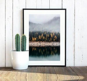 Forest Print Canvas Print Nature Prints Forest Photography Forest Wall Art Woodland Prints Forest Nursery Decor Wilderness Poster