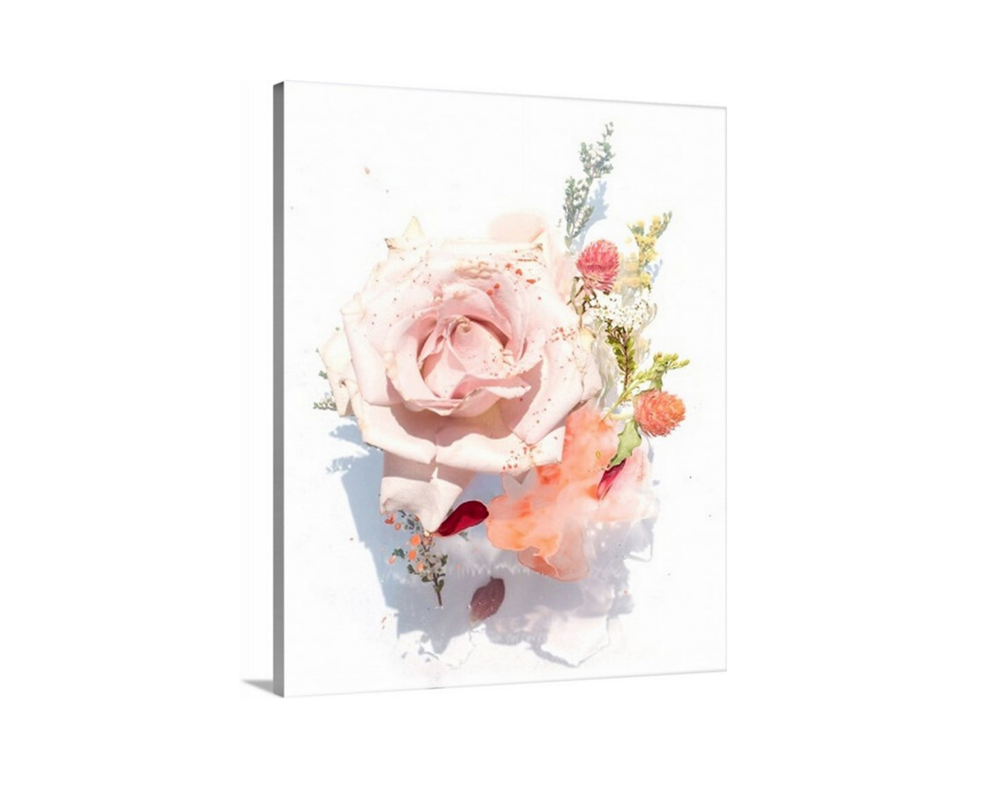 Rose Flower Print, Rose Canvas, Rose flowers canvas, home decor, botanical print art, flower print canvas