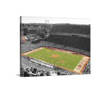 Load image into Gallery viewer, Clemson football, clemson university, Football stadium, Death Valley, Clemson Memorial Stadium,  Frank Howard Field