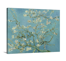 Load image into Gallery viewer, Almond Blossom by Vincent Van Gogh Van gogh Almond Blossom Vincent Van Gogh Skull Canvas print