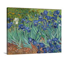 Load image into Gallery viewer, Irises by Vincent Van Gogh Van gogh Garden print Flowers Vincent Van Gogh Canvas print Giclee Print botanical