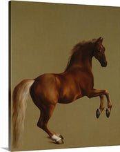Load image into Gallery viewer, whistlejacket 1762 by george stubbs whistlejacket george stubbs canvas print classic art wall art print