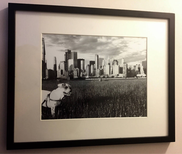 English bulldog art print New York city wall art New York City bulldog artwork English bulldog art Black and white New York poster