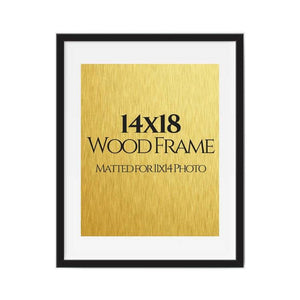 14x18 black picture frames matted for 11x14 photo, poster, art