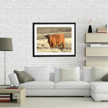 Load image into Gallery viewer, Highland Cow print Buffalo Wall art Buffalo Print Highland Cow Animal Print Cow Home Decor Poster