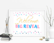 Gender Reveal sign Welcome to the Big Reveal Sign Gender Reveal Party Sign Welcome Sign Gender Reveal Poster