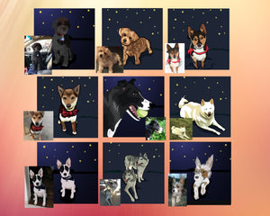 Custom pet portrait. Custom pet portrait. dog portrait from your photos. dog portrait. pop art your dog. customized pet portrait. digital