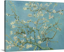 Load image into Gallery viewer, Almond Blossom by Vincent Van Gogh Van gogh Almond Blossom Vincent Van Gogh Skull Canvas print